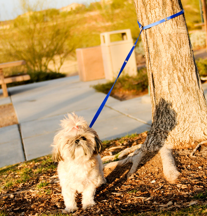 SnapLeash Hands Free Multi-Use Leash and Lead - 7 1/2 Feet Long