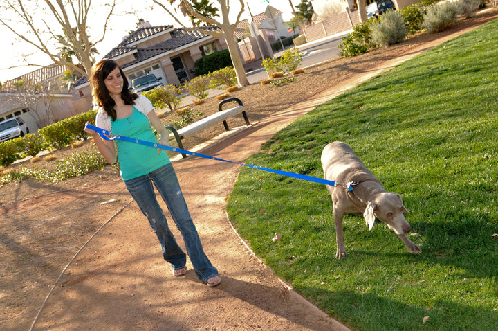 SnapLeash Hands Free Multi-Use Leash and Lead - 7 1/2 Feet Long