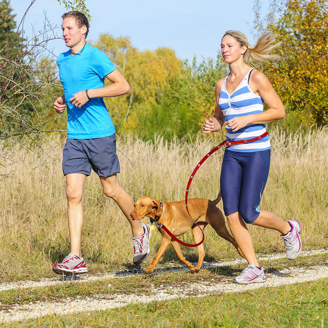 SnapLeash Hands Free Multi-Use Leash and Lead - 7 1/2 Feet Long